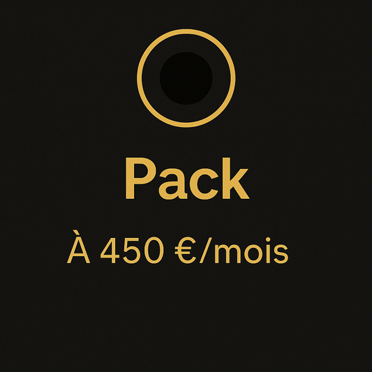 Option 3 – Gestion Ads 1000 €